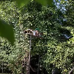Na Kasztelanskiej Apartamento Spytkowice (Wadowice)